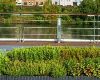 Viking Sjofn - Herb Garden