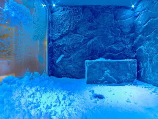 Viking Venus - The Spa