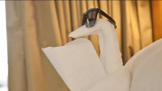 Vision of the Seas - Folding Artistry