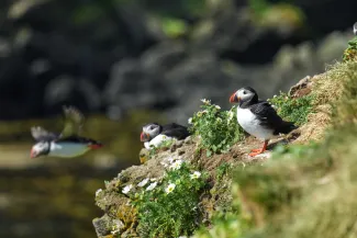 World Voyager - Polar Expedition Teams
