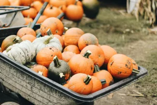 Kelowna, British Columbia