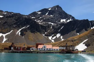 Grytviken