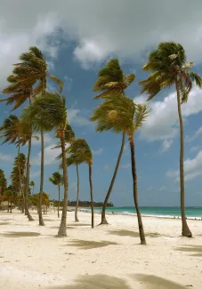 Punta Cana
