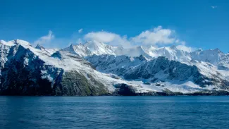 South Georgia Island