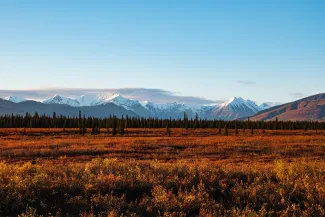 Denali National Park, Alaska
