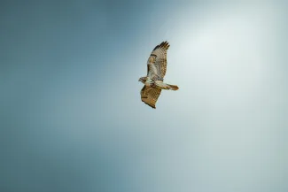 Thunder Bay, Ontario