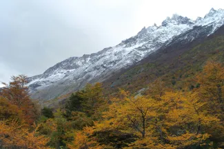 Torres del Paine National Park