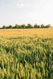 Lancaster, Pennsylvania