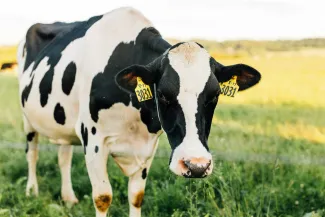 Lancaster, Pennsylvania