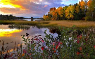 Baie Comeau, Québec