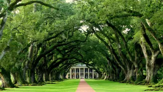 Oak Alley, Louisiana