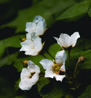 Kelowna, British Columbia