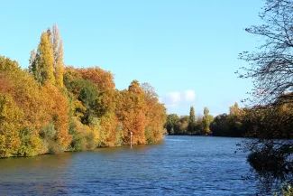 Conflans-Sainte-Honorine