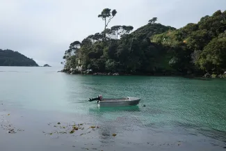Oban, Stewart Island
