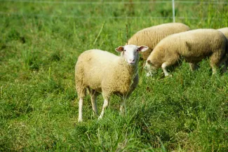 Lancaster, Pennsylvania