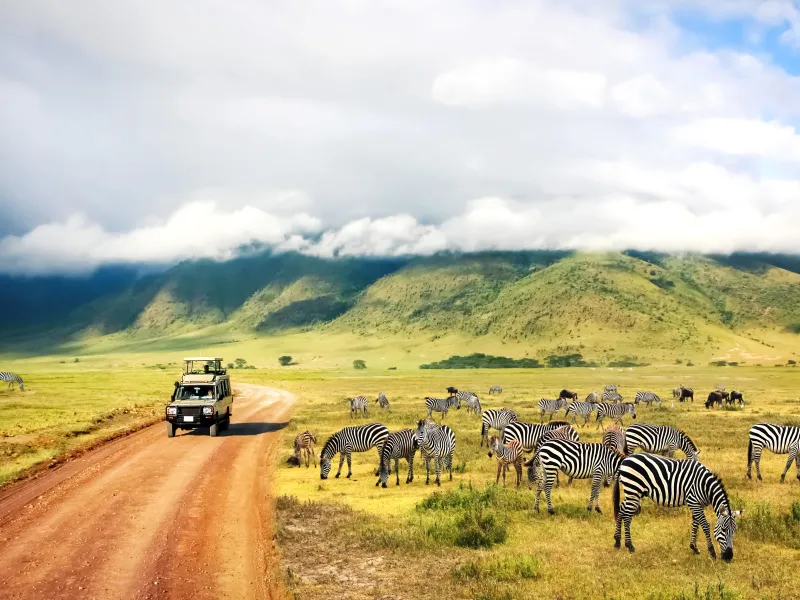 Safaris Go Regenerative, Healing Africa’s Wild Lands