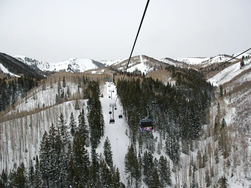 Ski Legendary Slopes With Olympic Champions