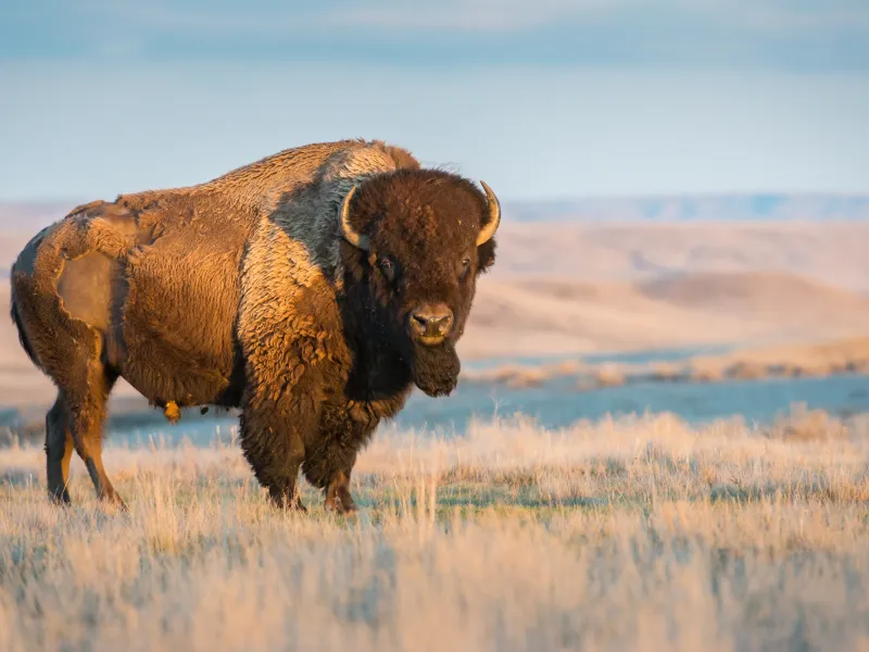 US National Parks Fee Hike Sparks Global Boycott Threat